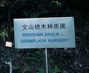 开云app最新版下载 - 开云(中国)